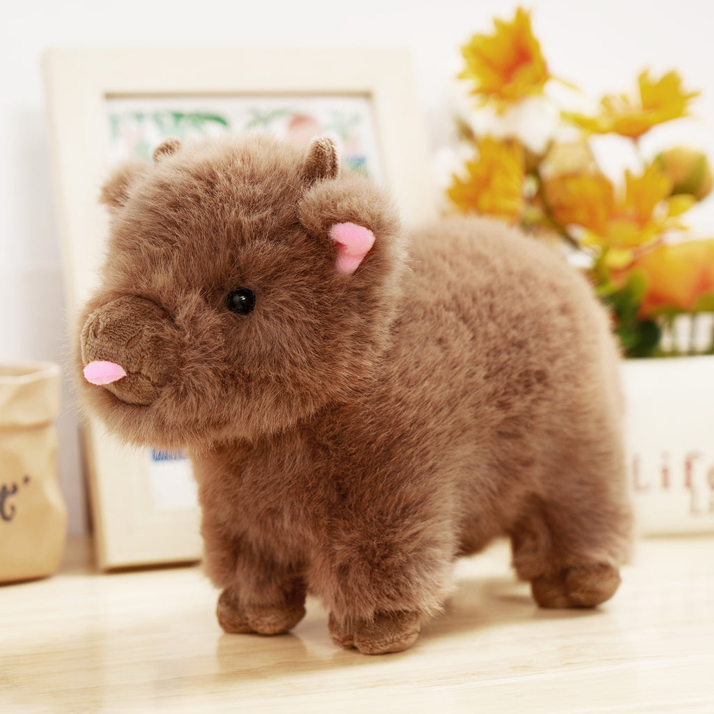 Mini-Hochlandkuhbaby