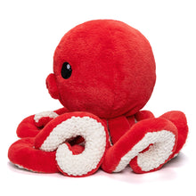 Laden Sie das Bild in den Galerie-Viewer, Oktopus-Stofftier mit 4 Baby-Oktopussen darin