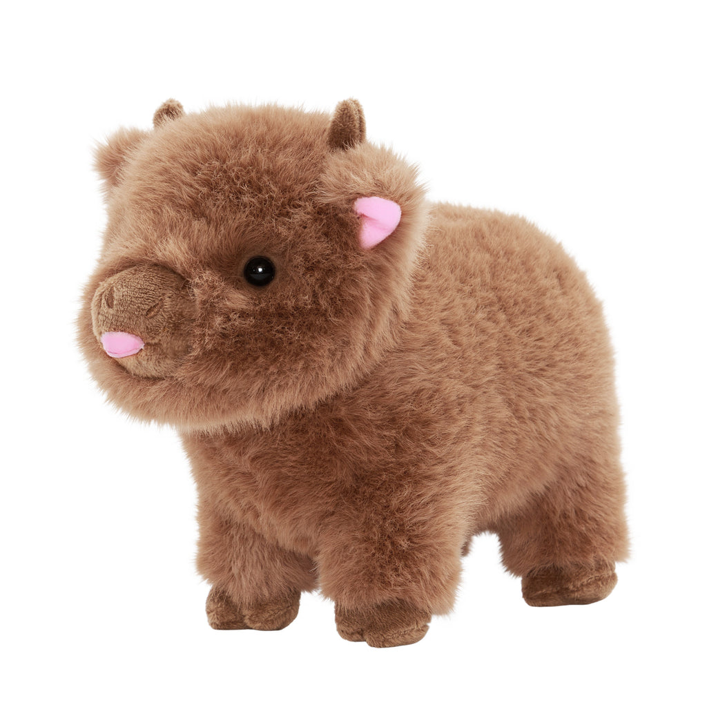Mini-Hochlandkuhbaby